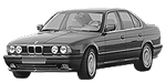 BMW E34 B203F Fault Code